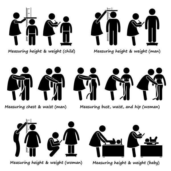 Measuring Body Height, Weight, and Size for Baby, Child, Woman, and Man — Stock Illustration Measuring Body Height, Weight, and Size for Baby, Child, Woman, and Man Stock Illustration