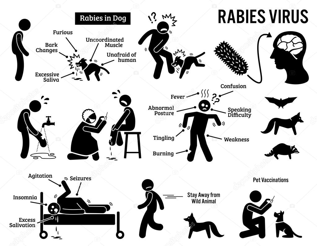 Rabies Virus in Human and Animal Stick Figure Pictogram Icons