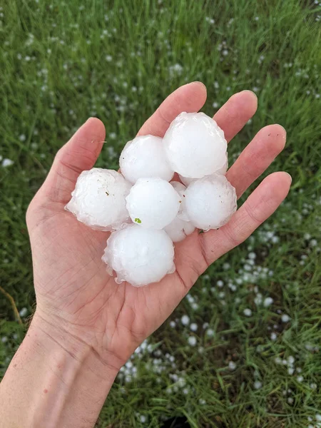 Şiddetli bir fırtına geçtikten sonra yarım dolardan golf topuna kadar uzanan çok sayıda dolu taşı tutan bir insan eli. Arka plandaki çimlere saçılmış dolu taşları görülebilir..