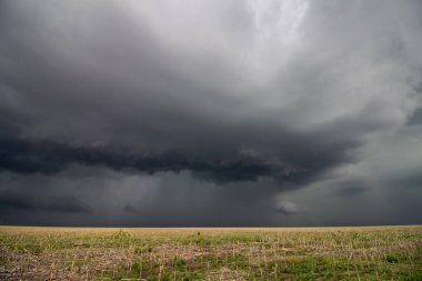 A dark storm cloud looms on the horizon, bringing rain to a farmers field.