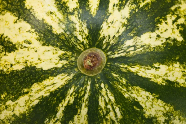 Melone — Stockfoto