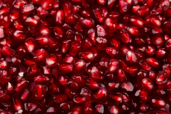 Small red grenadine seeds — Stock Photo, Image