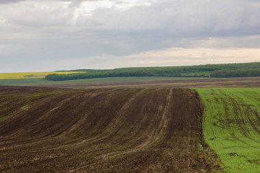 Ufukta yer alan arazi yağmuru