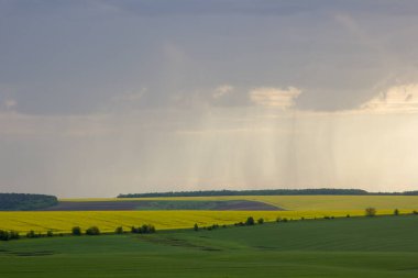 Ufukta yer alan arazi yağmuru