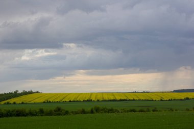 Ufukta yer alan arazi yağmuru