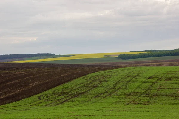 Paisagem Com Campo Horizonte Chovendo — Fotografia de Stock