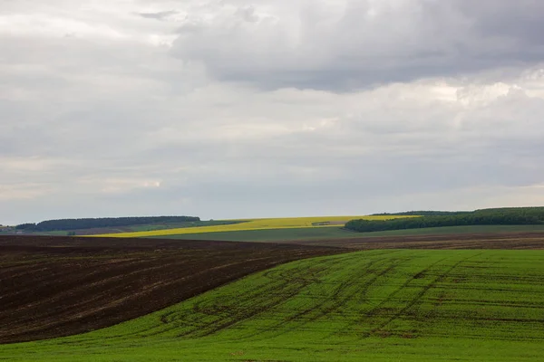 Landscape Field Horizon Raining — Stock Photo, Image