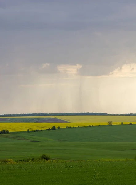 Landscape Field Horizon Raining — Stock Photo, Image