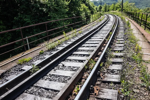 夏季列车运行的铁路轨道 旅行和运输 — 图库照片