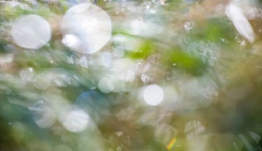 Bulanık çiğ ile yeşil çimenlerin arka planı, yaz günü