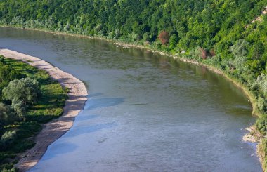 Ağaç manzaralı nehir kıyısı. Suyun kenarındaki kumsal.