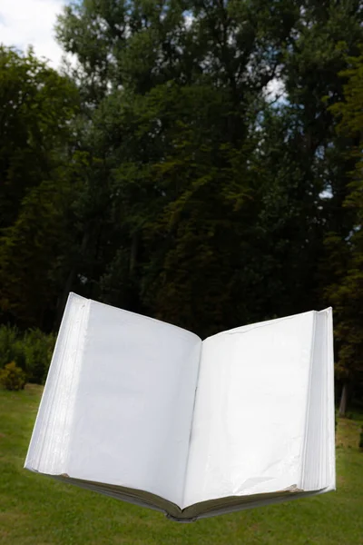 Prázdné Bílé Otevřené Knihy Jednotném Pozadíprázdné Bílé Otevřené Knihy Jednotném — Stock fotografie