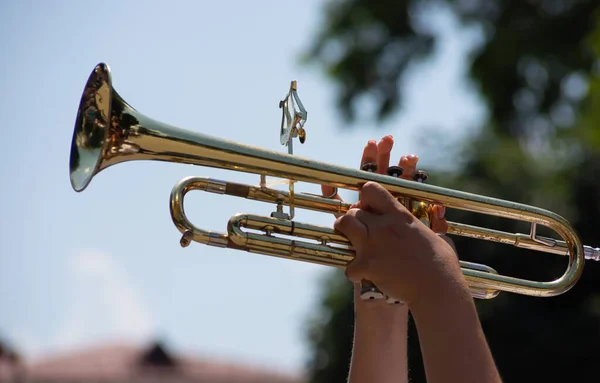 Tocar Instrumento Bronze Banda Militar Apresenta Festival — Fotografia de Stock