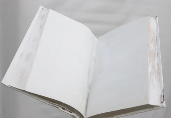 Порожня Біла Відкрита Книга Рівномірному Фоні Порожня Біла Відкрита Книга — стокове фото