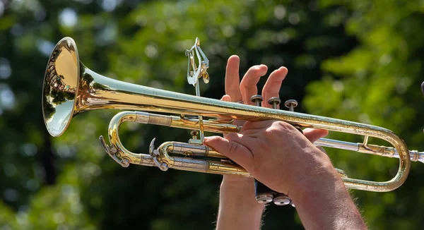 Tocando Instrumento Bronce Banda Militar Presenta Festival —  Fotos de Stock