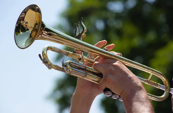 Tocar Instrumento Bronze Banda Militar Apresenta Festival — Fotografia de Stock