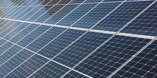 solar panels installed on the ground produce environmentally friendly energy in summer