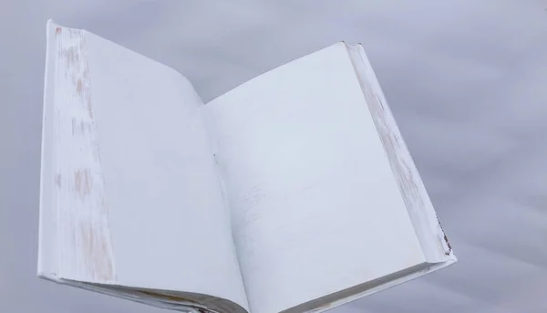 Leeres Weißes Aufgeschlagenes Buch Auf Einheitlichem Hintergrund Leeres Weißes Aufgeschlagenes — Stockfoto