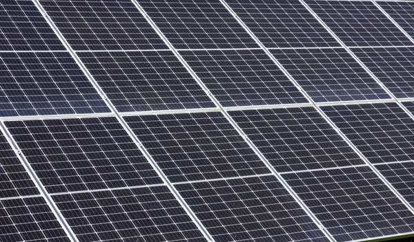 solar panels installed on the ground produce environmentally friendly energy in summer