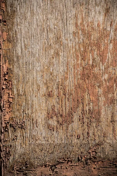 Texture Legno Marrone Con Motivi Naturali — Foto Stock