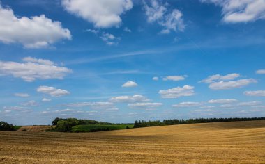 Gıda için toplanan tahıl, güneşli bir yaz gününde buğday tarlası, gökyüzü...