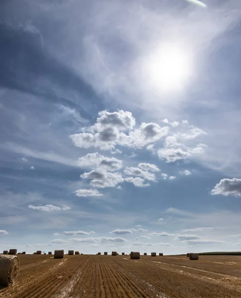 Stacks Straw Bales Hay Rolled Stacks Left Harvesting Wheat Ears — Stock Photo, Image