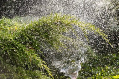 Sulama bahçesinin modern aygıtı. Sulama sistemi. Bahçede sulama tekniği. Çimen fıskiyesi yeşile su püskürtüyor.