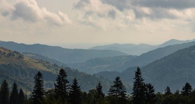 Ukrayna Karpatları 'nın dağ yamaçlarında. Dağın tepeleri ve ormanlar mavi gökyüzünün arka planında.