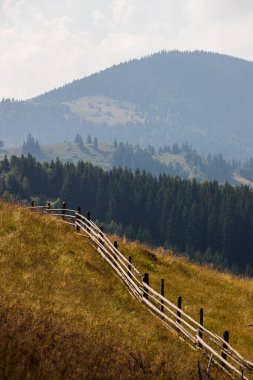 Ukrayna Karpatları 'nın dağ yamaçlarında. Dağın tepeleri ve ormanlar mavi gökyüzünün arka planında.