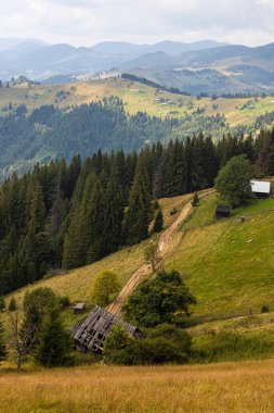 Ukrayna Karpatları 'nın dağ yamaçlarında. Dağın tepeleri ve ormanlar mavi gökyüzünün arka planında.
