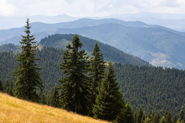 Ukrayna Karpatları Nın Dağ Yamaçlarında Dağın Tepeleri Ormanlar Mavi Gökyüzünün — Stok fotoğraf
