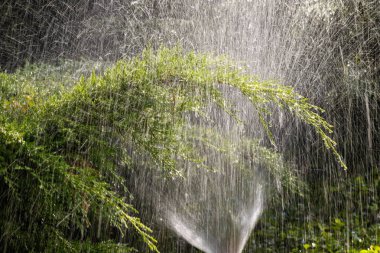 Sulama bahçesinin modern aygıtı. Sulama sistemi. Bahçede sulama tekniği. Çimen fıskiyesi yeşile su püskürtüyor.