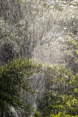 Sulama bahçesinin modern aygıtı. Sulama sistemi. Bahçede sulama tekniği. Çimen fıskiyesi yeşile su püskürtüyor.