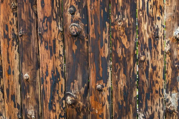 Walnut Wood Texture Super Long Walnut Planks Texture Background Texture — Stock Photo, Image