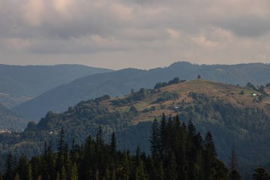 Ukrayna Karpatları 'nın dağ yamaçlarında. Dağın tepeleri ve ormanlar mavi gökyüzünün arka planında.