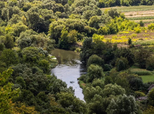 Rzeka Wśród Zielonych Drzew Latem Widok Drona Powietrza — Zdjęcie stockowe