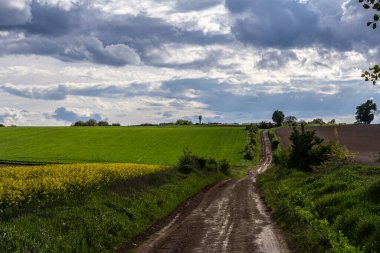 Manzaralı toprak yol, bulutlu bir gökyüzünün altında, canlı yeşil çayırlarda dönüyordu..