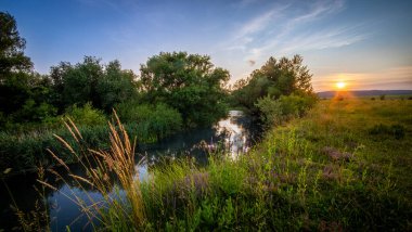 Gün batımı, canlı yeşil bitki örtüsü ve uzun otların çerçevelediği sakin bir nehrin üzerine ılık bir parıltı saçar ve doğada sakin bir atmosfer yaratır..