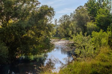 Güneş ışığı ağaçların arasından süzülerek sakin nehri aydınlatır. Bu nehir, kıyıları boyunca canlı yeşillikleri yansıtır. Huzurlu bir sabah atmosferi gösterir..