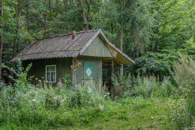 Huzurlu bir öğleden sonra, canlı yeşillik ve vahşi bitki örtüsüyle çevrili sık bir ormanın kalbinde, büyüleyici bir ahşap kulübe dinlenir..