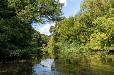 Sakin bir nehir, canlı ağaçlar ve parlak mavi bir gökyüzünü yansıtan yoğun yaprakların arasından akar ve sakin ve pitoresk bir açık hava ortamı yaratır..