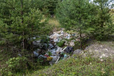 Ormanlık bir alana, çevresel ihmalkarlığı ve doğayı kirletmenin etkilerini vurgulayan bir çöp ve döküntü yığını dağılmış durumda..