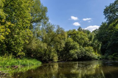 Sakin bir nehir, yoğun yeşilliklerle dolu canlı bir arazide yavaşça akar ve doğanın sükunetini gösteren berrak mavi gökyüzünü yansıtır..