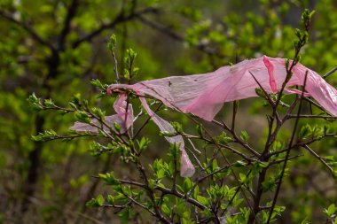 Pembe plastik atık parçası, kırsal bölgelerdeki kirlilik sorununu göstermek için, doğal bir alanda ortaya çıkan yaprakların dallarına yapışır..