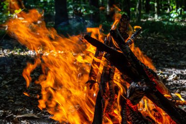 Kömür ateşinin alevi. Pişirme ve ısıtma için toprak. Ormanda tehlike.