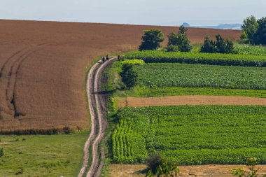 Çiftçiler, güneşli bir öğleden sonra, açık bir gökyüzünün altında, zengin, yeşil tarlalar ve kahverengi tarım arazileri boyunca toprak bir patika boyunca at sürüyorlar..