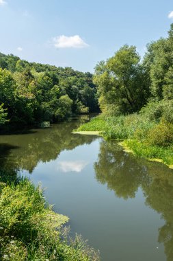 Sakin bir nehir yoğun bitki örtüsünün içinden akar mavi gökyüzünü yansıtır ve dağınık bulutlar bu doğal ortamda barışçıl bir atmosfer yaratır..