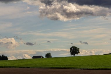 Gökyüzü bulutlarla doluyken engin yeşil alan uzanıyor. Güneş batarken huzur ve kırsal cazibeyi çağrıştıran ıssız bir ağaç ve uzak bir çiftlik evi var..