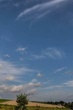 Pofuduk bulutlar, sakin bir kır manzarasının üzerinde parlak mavi bir gökyüzünde süzülür. Yeşil tarlalar ve öğleden sonra güneşinde güneşlenen birkaç ağaç..