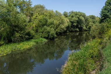 Sakin bir nehir, güzel güneşli bir günde yukarıdaki mavi gökyüzünü yansıtan yoğun bir yeşillik arazisi boyunca yavaşça akar..